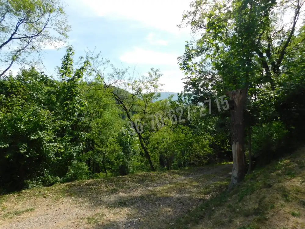 Heves megye - Parád-Parádfürdő