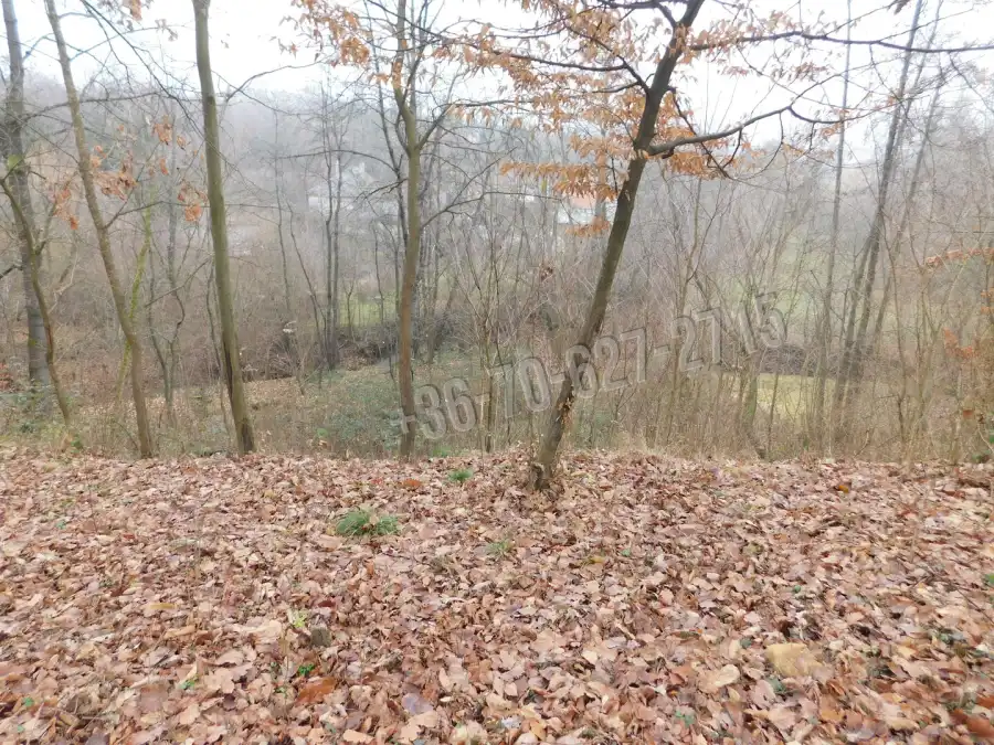 eladó  Építési telek, Parád