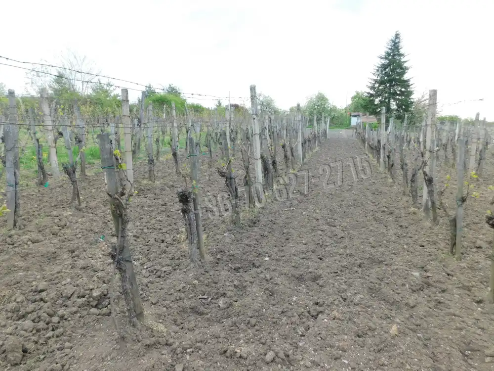 Heves megye - Andornaktálya