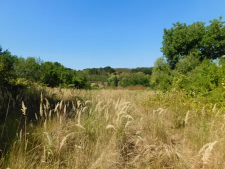 Eladó telek, Bodony 1404 m² 9.5 M Ft